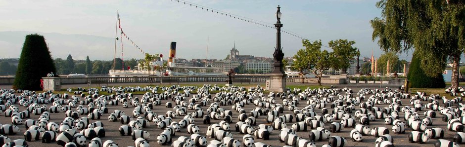 Léman Green Trophy : le WWF Genève partenaire de l’événement.